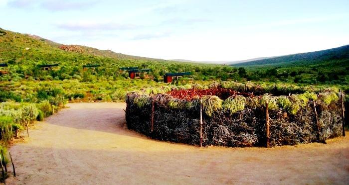 Agama Tented Camp Garies Exterior photo